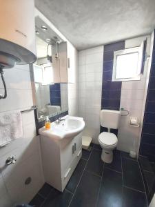 a bathroom with a sink and a toilet at Apartments with a parking space Sali, Dugi otok - 8181 in Sali
