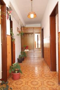 Fotografia z galérie ubytovania Apartment Sali 8174a v destinácii Sali