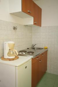 Kuchyňa alebo kuchynka v ubytovaní Apartments by the sea Pasadur, Lastovo - 8388