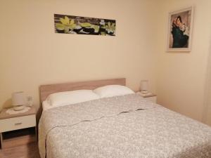 a bedroom with a bed with two night stands and two lamps at Apartment Lukoran 8397b in Lukoran