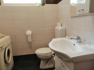 a bathroom with a white toilet and a sink at Apartment Lukoran 8397b in Lukoran +19 photos
