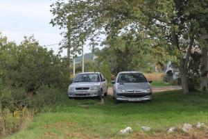 Fotografia z galérie ubytovania Apartment Mrljane 8498b v destinácii Mali Pašman