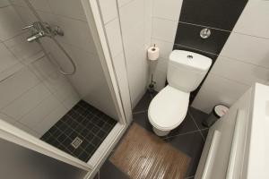 ein kleines Badezimmer mit Toilette und Dusche in der Unterkunft Apartments by the sea Poljana, Ugljan - 8432 in Poljana + 29 Fotos