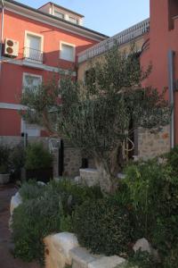 Vonkajšia záhrada v ubytovaní Apartment Poljana 8432c
