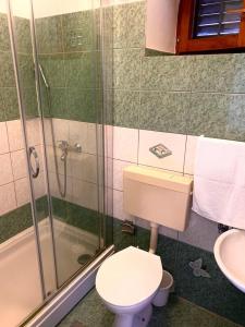 ein Bad mit einer Dusche, einem WC und einem Waschbecken in der Unterkunft Apartments by the sea Kukljica, Ugljan - 8293 in Kukljica