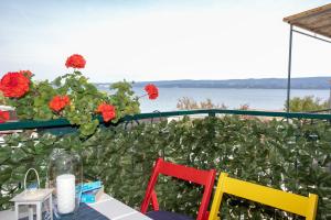 Príroda v okolí apartmánu