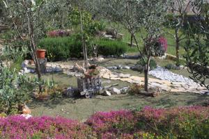 Vonkajšia záhrada v ubytovaní Apartments with parking spaces Stari Grad, Hvar - 8708
