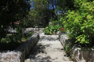Fotografia z galérie ubytovania Apartments by the sea Cavtat, Dubrovnik - 8827 v destinácii Cavtat + 11 fotografií