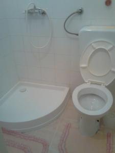 a bathroom with a white toilet and a shower at Apartments with a parking space Maslenica, Novigrad - 11089 in Maslenica