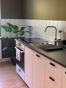 a kitchen with a stove and a sink and some plants at Mainberger in Schonungen