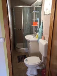 een badkamer met een toilet, een douche en een wastafel bij Apartments by the sea Slatine, Ciovo - 11126 in Slatine