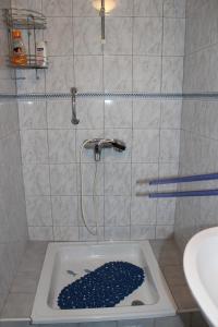 a bathroom with a shower with a hole in the floor at Apartments with a parking space Liznjan, Medulin - 11152 in Ližnjan