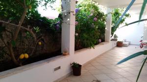 Fotografia z galérie ubytovania Apartments and rooms with parking space Dubrovnik - 11207 v Dubrovníku