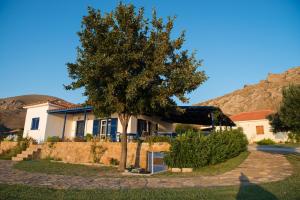 a house with a tree in front of a mountain at Sunset Hotel in Agios Ioannis Kaspaka