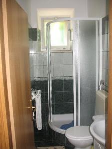 a bathroom with a shower and a toilet and a sink at Apartments by the sea Lumbarda, Korcula - 11275 in Lumbarda
