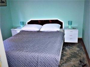 En eller flere senge i et værelse på Apartments with parking space Barbariga, Fazana - 11193