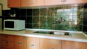 uma cozinha com um lavatório e um micro-ondas em Apartments with a parking space Barbariga, Fazana - 11193 em Barbariga
