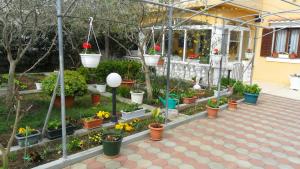 Zahrada ubytování Apartments by the sea Kozino, Zadar - 11169