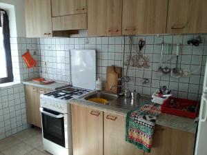 a small kitchen with a stove and a sink at Apartments by the sea Martinscica, Cres - 11279 in Martinšćica