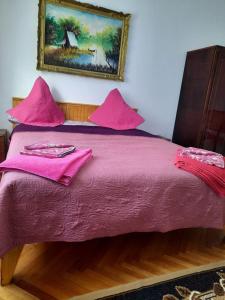 1 cama con sábanas rosas y una foto en la pared en Pensiunea Ira Jurilovca, en Jurilovca