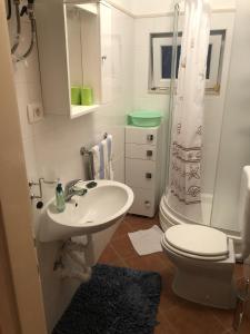 a bathroom with a sink and a toilet and a shower at Apartments with WiFi Pucisca, Brac - 11416 in Pučišća