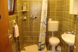a bathroom with a shower with a toilet and a sink at Apartments with parking space Kali, Ugljan - 11020 in Kali