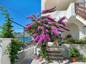 a house with purple flowers on the stairs at Apartments by the sea Arbanija, Ciovo - 11321 in Trogir