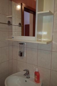 La salle de bains est pourvue d'un lavabo avec miroir et d'un distributeur de savon. dans l'établissement Apartments with a parking space Gradac, Makarska - 11332, à Gradac