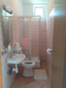 a bathroom with a toilet and a sink at Apartments by the sea Cove Blaca, Mljet - 10416 in Maranovići