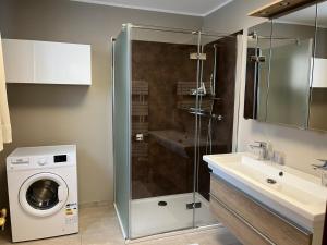 a bathroom with a washing machine and a sink at Mariandls Appartement&Mehr in Spitz