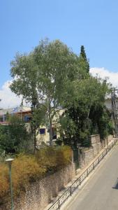 Fotografia z galérie ubytovania Modern apartment near Acropolis peaceful location. v Aténach