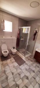 a bathroom with a shower and a toilet and a sink at Vila Casa di mare Jelsa, otok Hvar in Jelsa