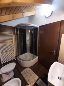 a bathroom with a shower and two toilets at Casuta Pietrosul Rodnei in Borşa