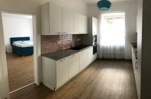 Kuchyňa alebo kuchynka v ubytovaní Art Apartment Telč + 13 fotografií