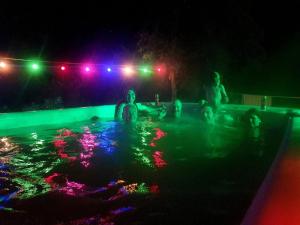 a group of people in a swimming pool at night at Butterfly House in Pāvilosta