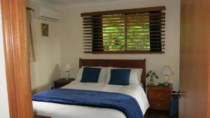 a bedroom with a bed with blue sheets and a window at Ravensbourne Escape - Cedar Lodge in Ravensbourne