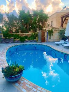 a large blue swimming pool with a basket of plants at Maxija B&B - Palm in Għarb