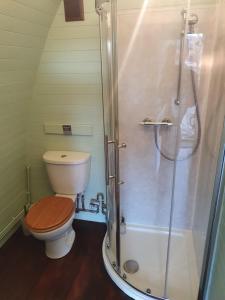 a bathroom with a toilet and a shower at Ty Cnocell in Boncath
