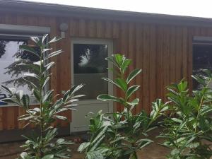 ein Holzhaus mit Pflanzen davor in der Unterkunft Hafenkoje Anita in Zinnowitz