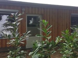 una casa de madera con plantas delante de ella en Hafenkoje Anita en Zinnowitz