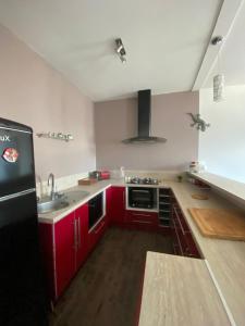 Kuchyňa alebo kuchynka v ubytovaní city loft parking privé gratuit