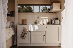 a kitchen with a sink in a small room at The Dragonfly Shepherds Hut in Colchester