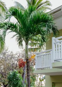 Balkón nebo terasa v ubytování Hotel Le Recif, Ile de la Reunion