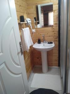 a bathroom with a sink and a mirror at Sea garden apart in Demre
