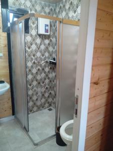 a bathroom with a shower and a toilet at Sea garden apart in Demre
