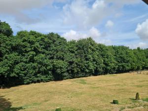 un campo de césped con árboles en el fondo en The Farmhouse - Linton Horseheath, en Linton