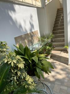 un patio con una mesa de cristal y algunas plantas en Studio Vlora, en Vlorë