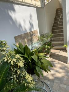 patio con tavolo in vetro e alcune piante di Studio Vlora a Vlorë
