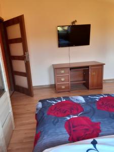 a bedroom with a bed with a desk and a television at Wczasy U Piotra in Grabno