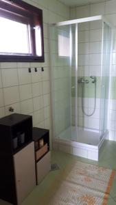 baño con ducha y puerta de cristal en Holiday Home by the River Krka, en Krška Vas